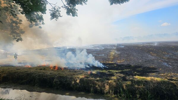 Großbrand in Hemmoor: Feuerwehr kämpft unter extremen Bedingungen gegen Flammen