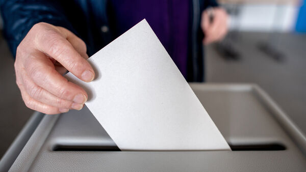 AfD elfmal stärkste Kraft: So stimmte die Samtgemeinde Hemmoor bei der Bundestagswahl