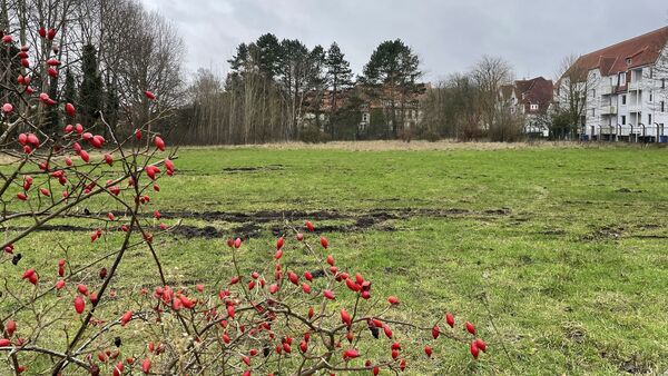 Erfolg in Sicht: Zeitplan für Bau der neuen Gorch-Fock-Schule in Cuxhaven steht