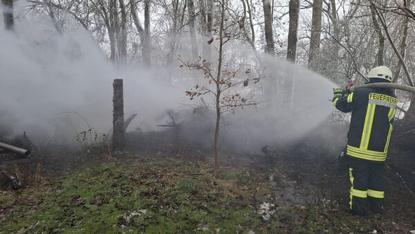 Hecke und Komposthaufen in Belum in Brand: Feuerwehr rettet Geräteschuppen vor Feuer