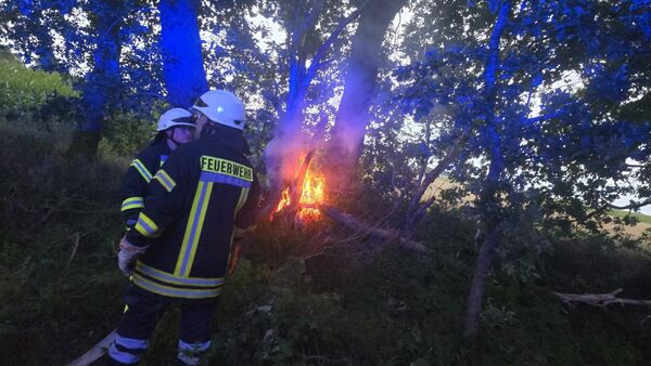 Vermutlich absichtlich gelegter Brand: Passanten entdecken Feuer in Baumstamm