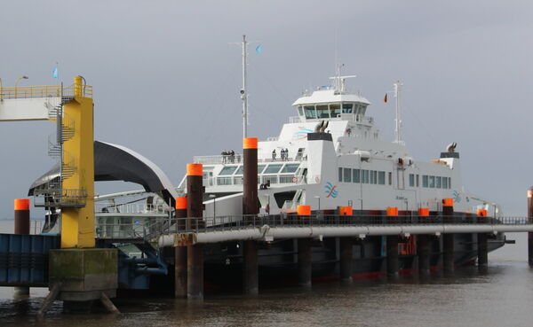 Motto: "Kampf für eine Cuxhaven-Brunsbüttel-Linie nicht einfach so aufgegeben"