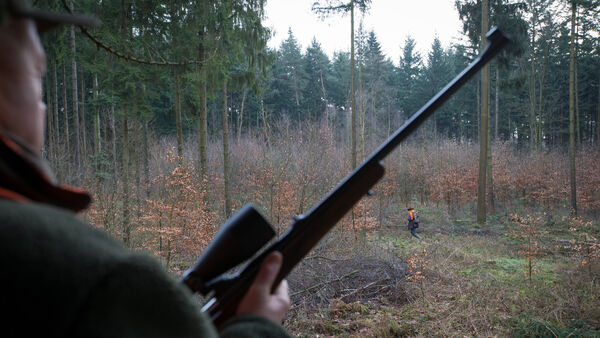 Jagdschein-Boom im Kreis Cuxhaven: Auf 100 Einwohner kommt ein Jäger