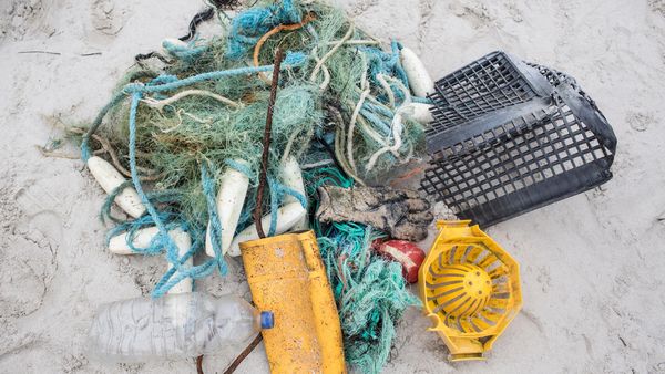 Erste Schritte gegen Plastikflut in Otterndorf