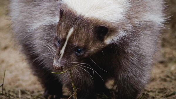 Zoopädagogin Christin bietet in der Wingst auch inklusive Führungen an