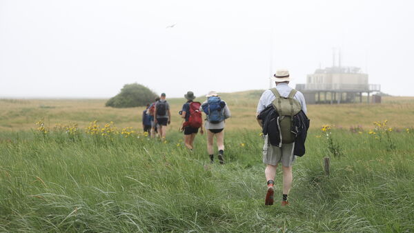 "Man schützt nur, was man kennt": Von Cuxhaven bis zur Vogelschutzinsel Scharhörn