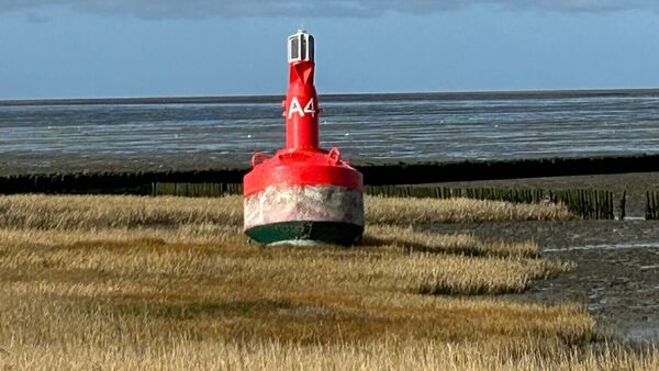 Kurioser Fund in Cuxhaven-Sahlenburg: Navigationsboje landet nach Sturm in Salzwiesen