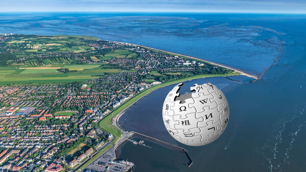 25 Jahre Wikipedia: Der meistgeklickte Promi und andere Fakten zum Kreis Cuxhaven