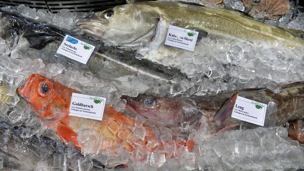 Rotbarsch wird Goldbarsch? Der über Cuxhaven importierte Fisch bekommt neues Image