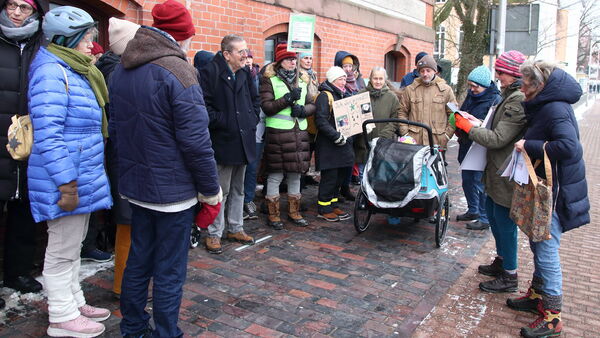 Gefällte Rosskastanien in Cuxhaven: Initiative zweifelt Rechtfertigung der Stadt an