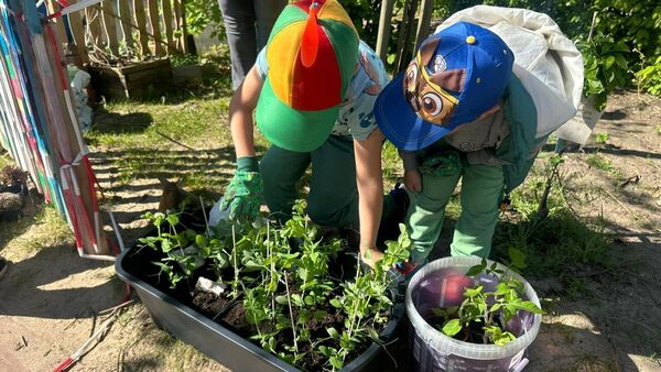 Zufällige Begegnung bringt Naturprojekt in Cuxhavener Kindergarten ins Rollen